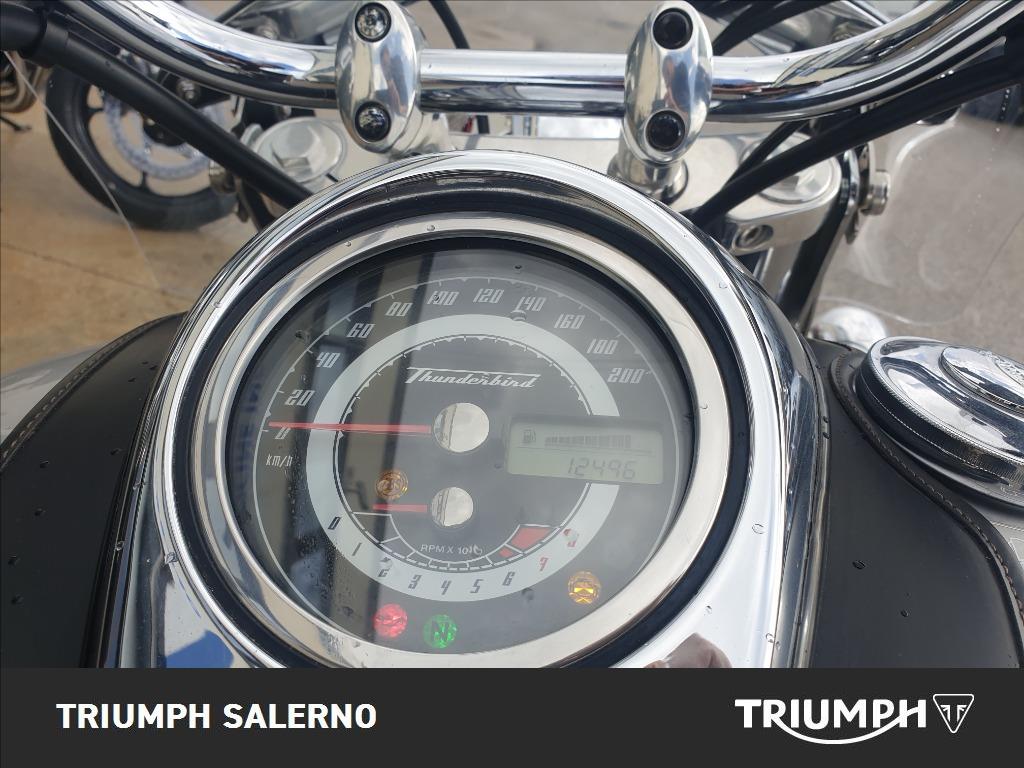 TRIUMPH Thunderbird 1600 Twin Tone Abs
