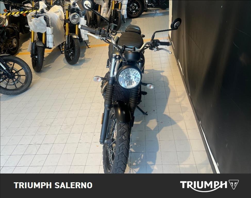 TRIUMPH Street Scrambler 900 