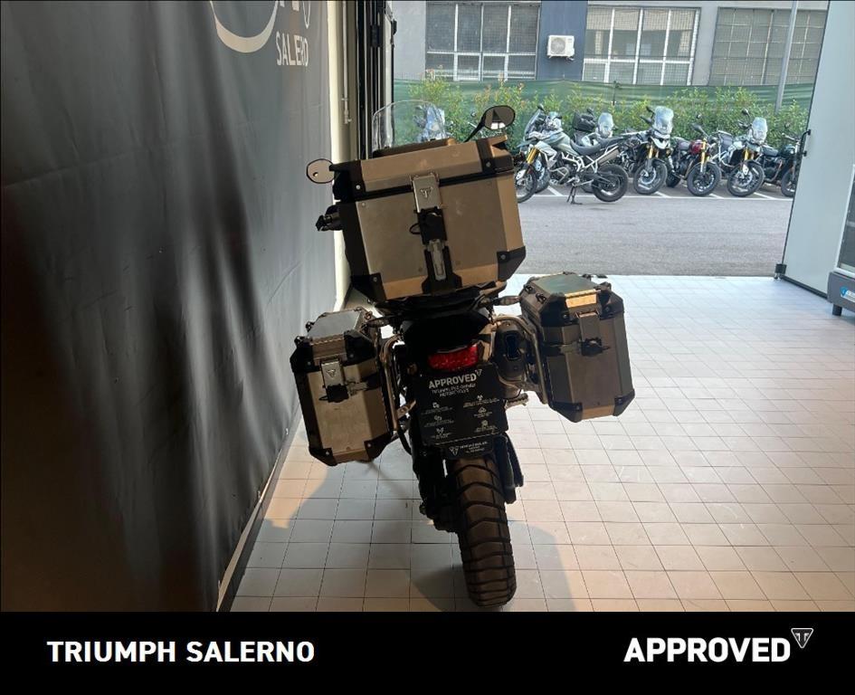 TRIUMPH Tiger 1200 Rally Pro Abs