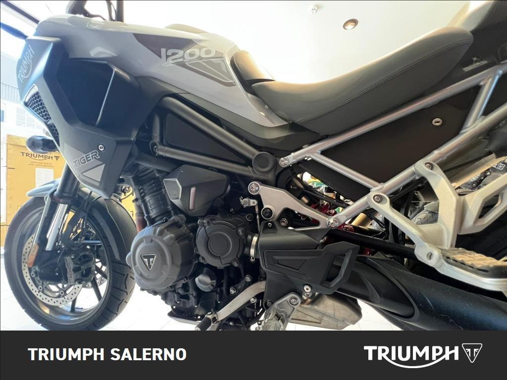TRIUMPH Tiger 1200 GT Pro Abs
