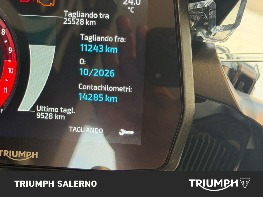 TRIUMPH Tiger 1200 Rally Pro Abs