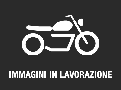 Immagine in lavorazione